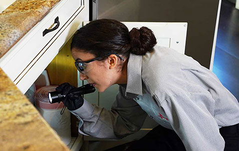 Home Pest Control Inspections