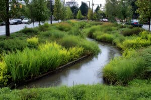 Vegetation Management