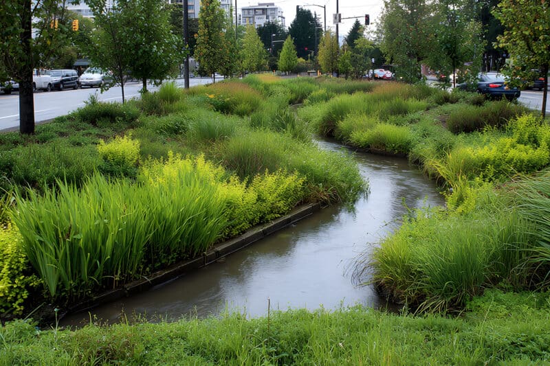 Vegetation Management